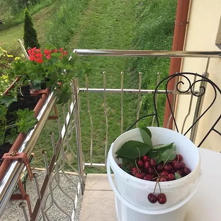 Počitniška hiša Farm ,zidanica ,joli Gorica pri Slivnici